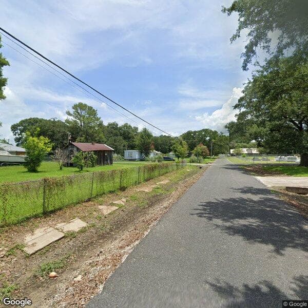 Palmetto Washington Melvi