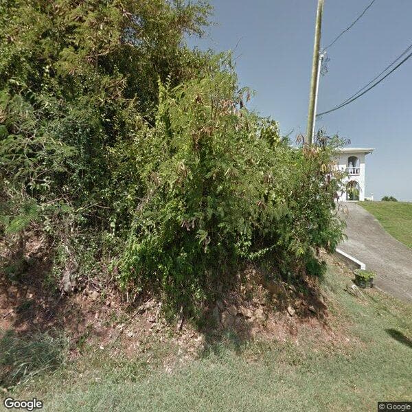 Louis E. Brown Redevelopment Ii