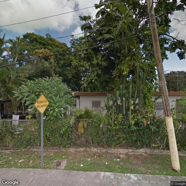 Las Camelias Apartments