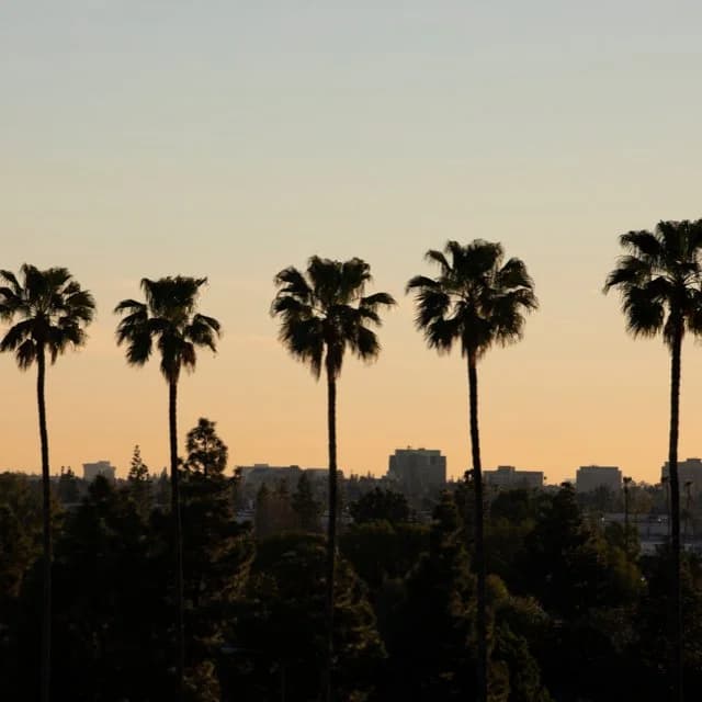 Anaheim Extends Deadline for Section 8 Housing Voucher Waitlist Applications